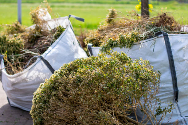 Best Estate Cleanout Services  in Citrus Park, FL