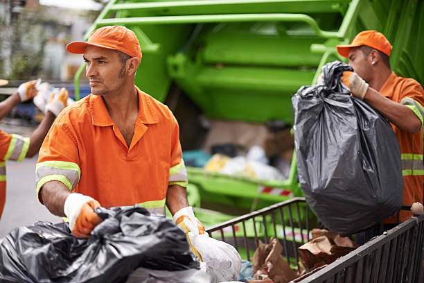 Best Affordable Junk Removal Services  in Citrus Park, FL